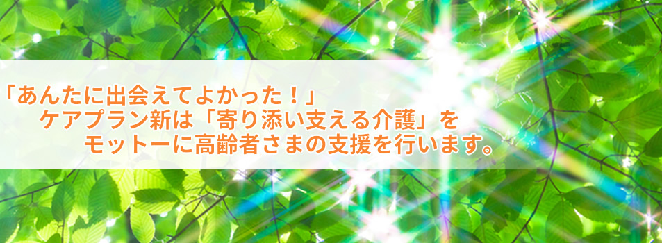 ケアプラン新（株式会社孝新堂）